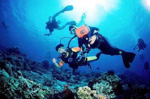 探索欣美特电动牙刷可以给小孩子用吗?,开启知识星球的精彩旅程